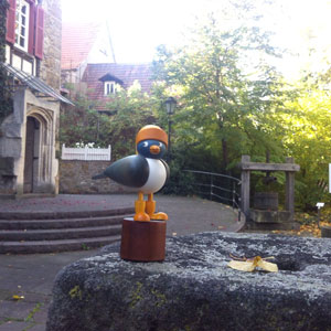 Eine Hamburger Möwe in Reutlingen