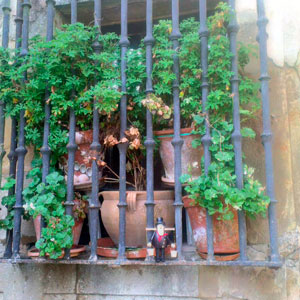 Hummel Kloster 002 3